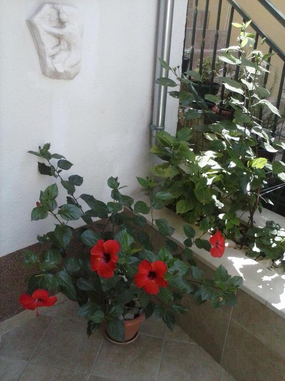Apartments Sime Trogir Luaran gambar